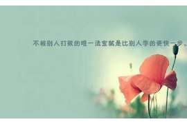 景东婚姻调查